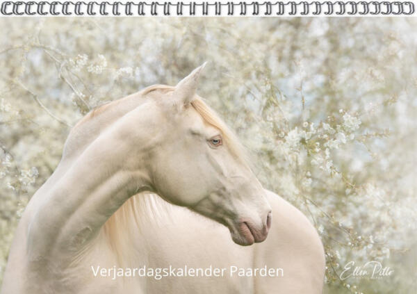 Verjaardagskalender Paarden