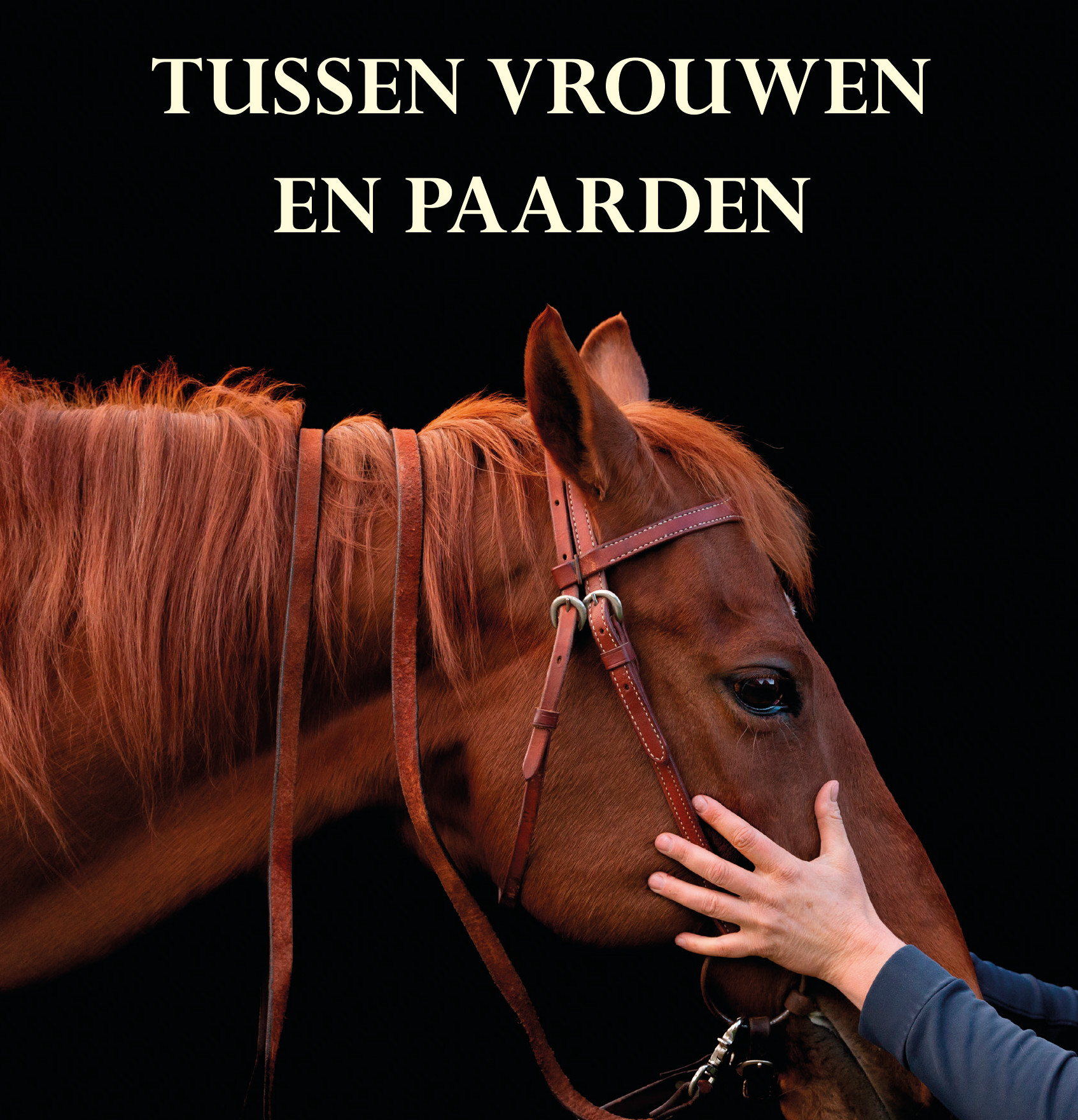 Tussen vrouwen en paarden vierkant