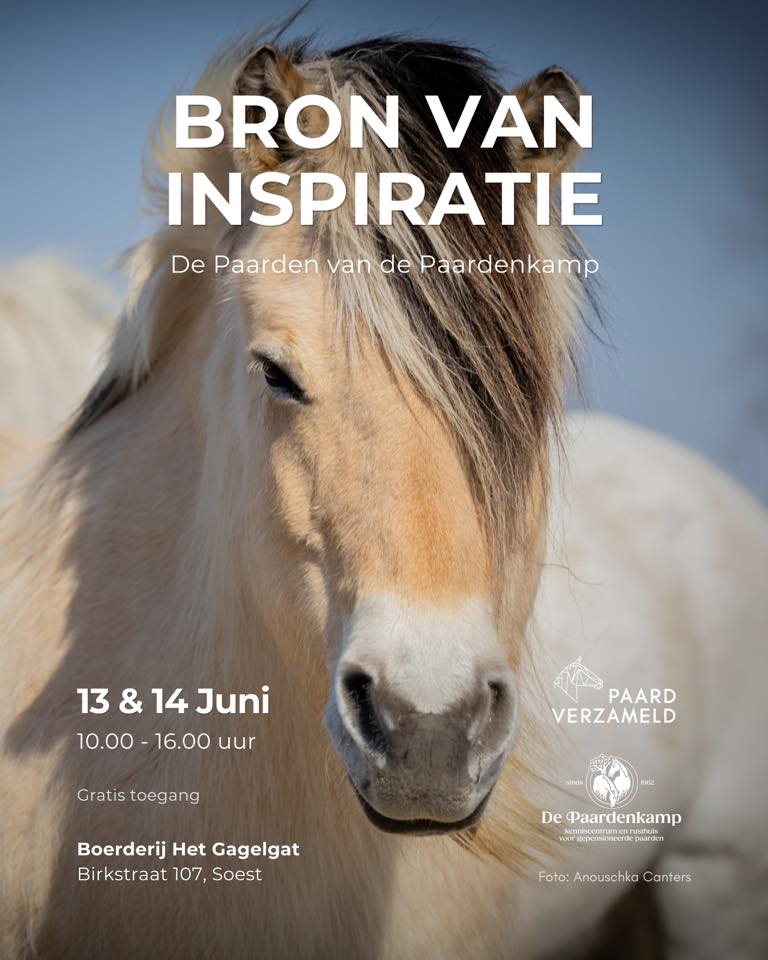 Paard Verzameld I Expositie Bron van Inspiratie
