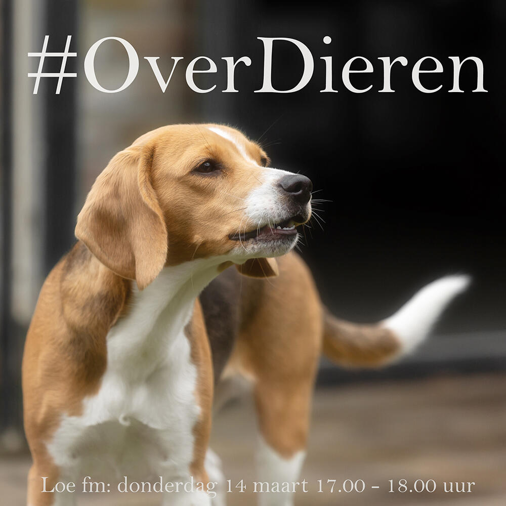 @ellenpitlofotografie #OverDieren 14 maart 2024 17.00 - 18.00 uur