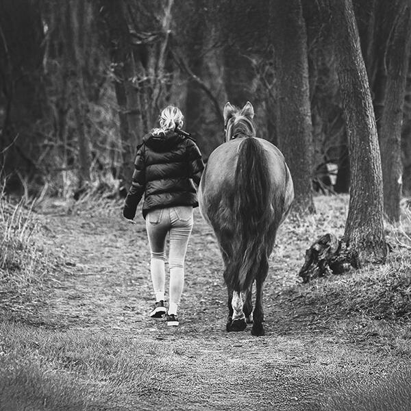 @ellenpitlofotografie-ginger-afscheid