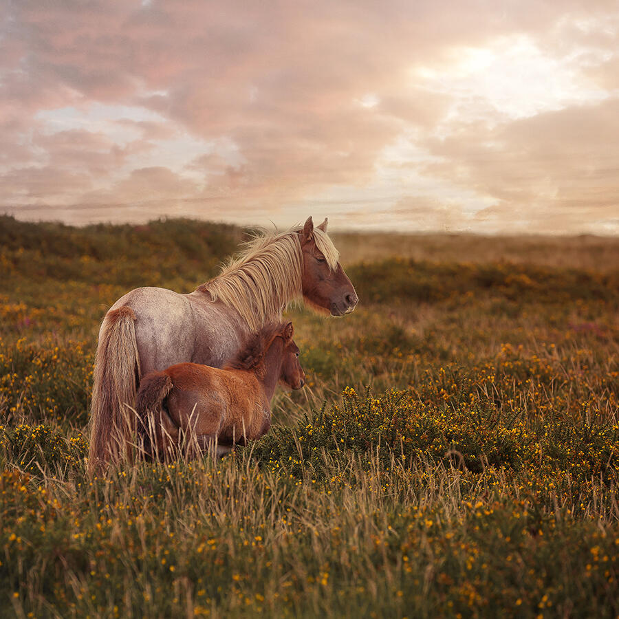 @ellenpitlofotografie let's stay together