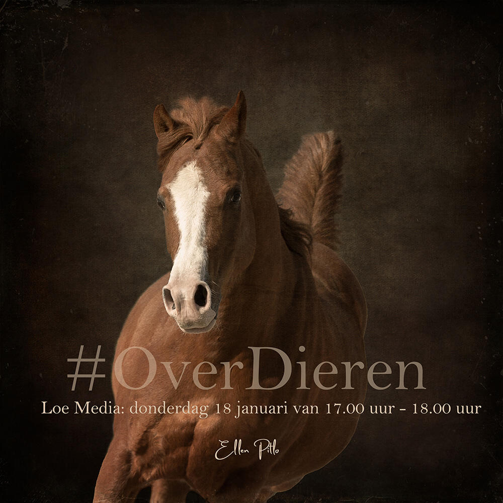 @ellenpitlofotografie radioprogramma #OverDieren 18 januari 2024