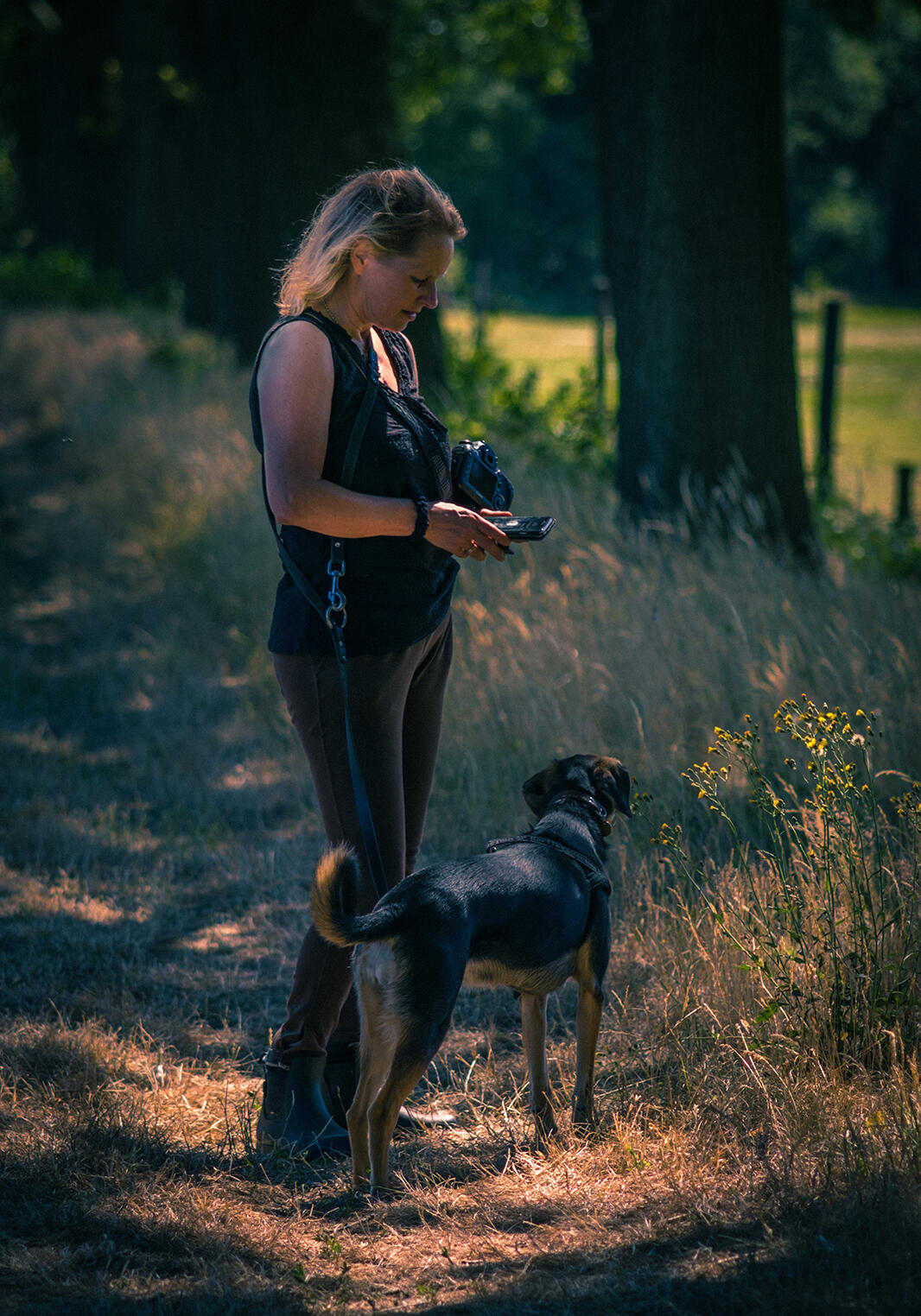 @ellenpitlopaardenfotograaf