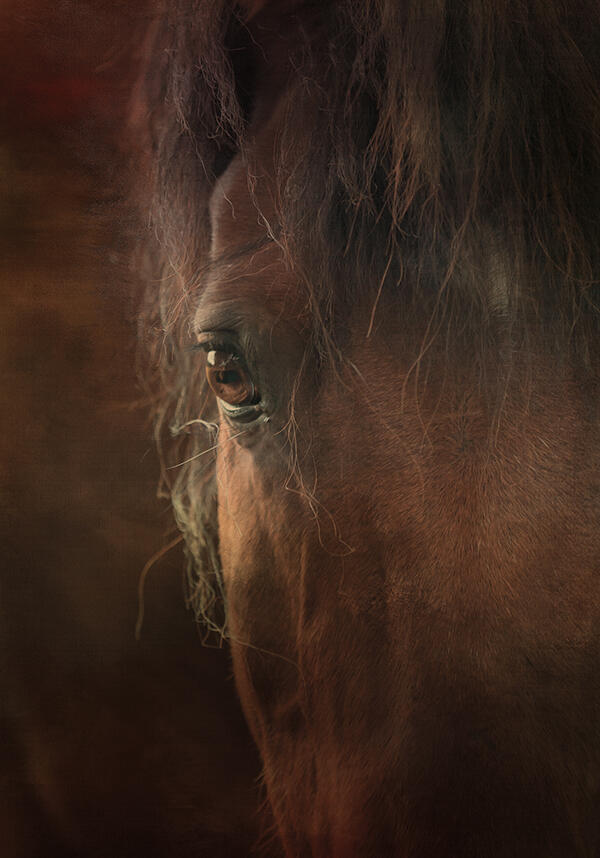 @ellenpitlofotografie - Sebastiaan verbinding klein